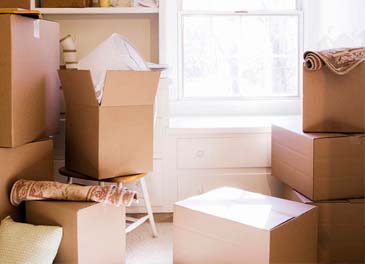 Packing and moving services